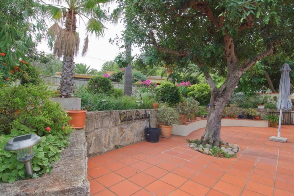 Villa Agradable Casa Con Piscina Privada Y Jardin Dénia Exterior foto